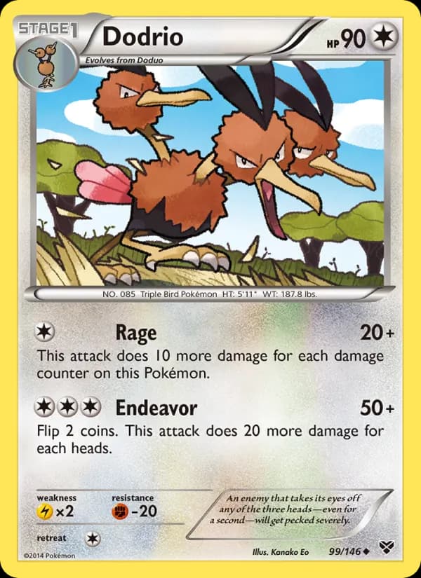 Dodrio de XY