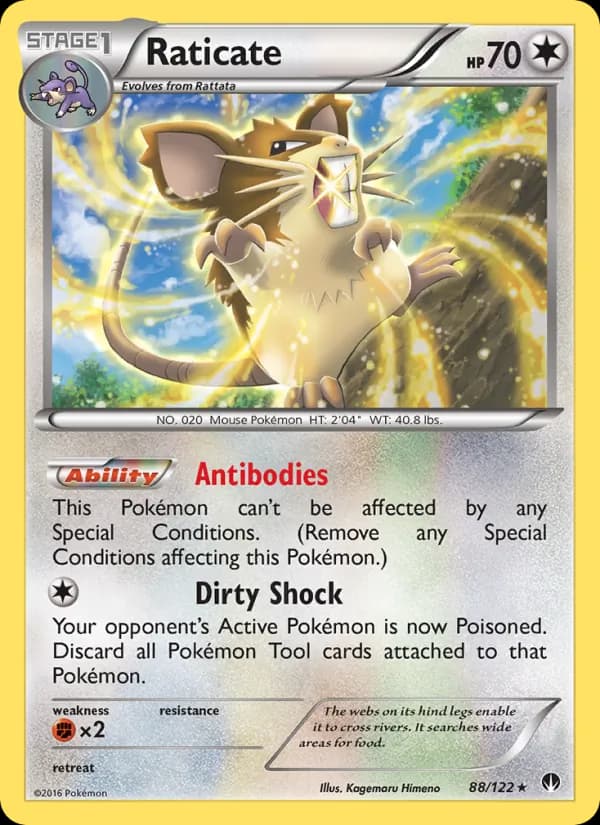 Raticate de Turbo Colisão