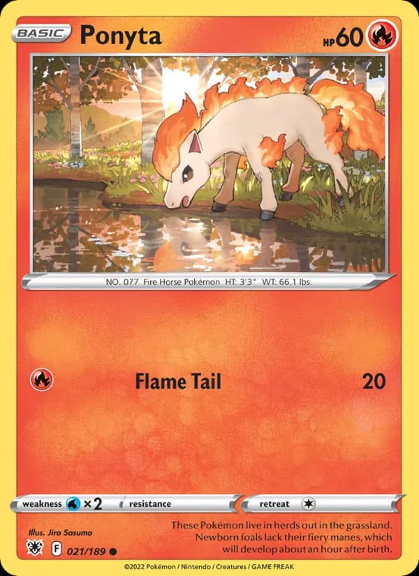 Ponyta de Estrelas Radiantes