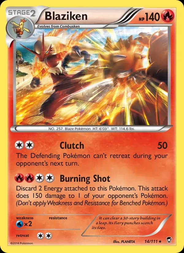 Blaziken de Punhos Furiosos
