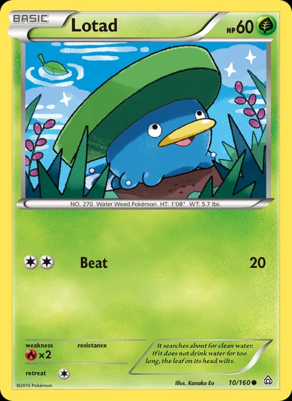 Lotad de Conflito Primitivo