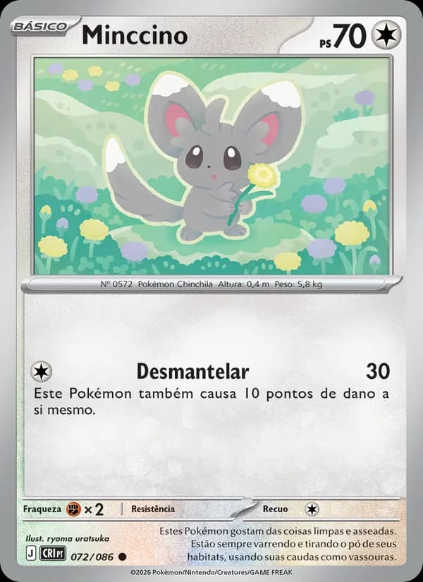 Minccino